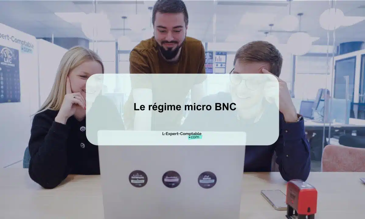 régime micro-BNC en détail